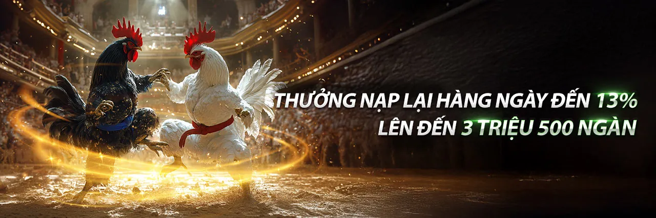 Đá gà trực tuyến kịch tính tại OK9 Login